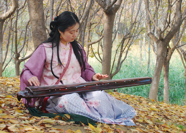 1762299071779579.jpg DSC_0071.JPG