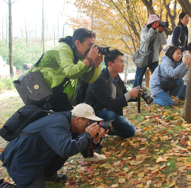 1762299085655279.jpg DSC_0079.JPG