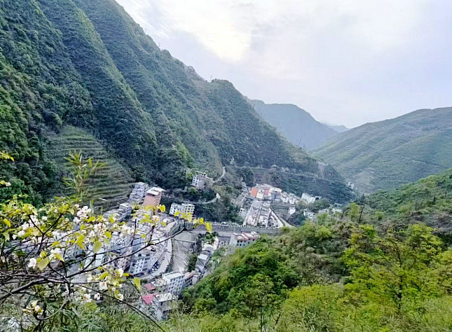 1762721246812107.jpg 微信图片_20251110112959_13_83.jpg