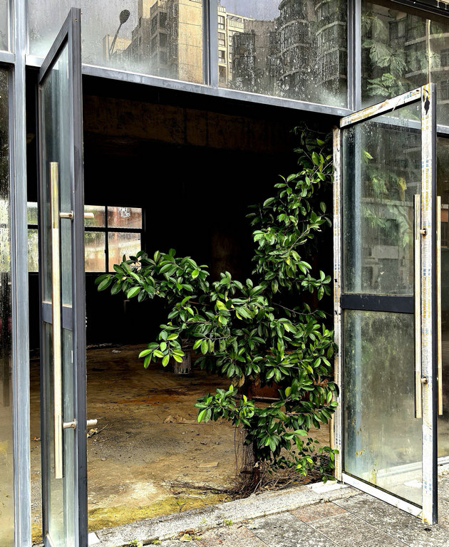 1764290944543146.jpg 张正乾2.jpg