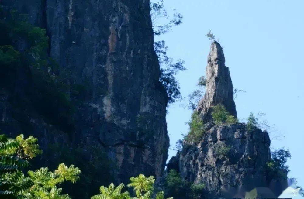 张良的传说(图1)