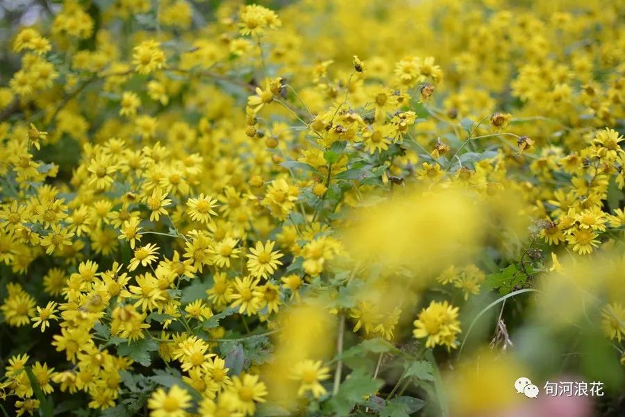 悄悄走过这一年 文/赵攀强(图2) 图片