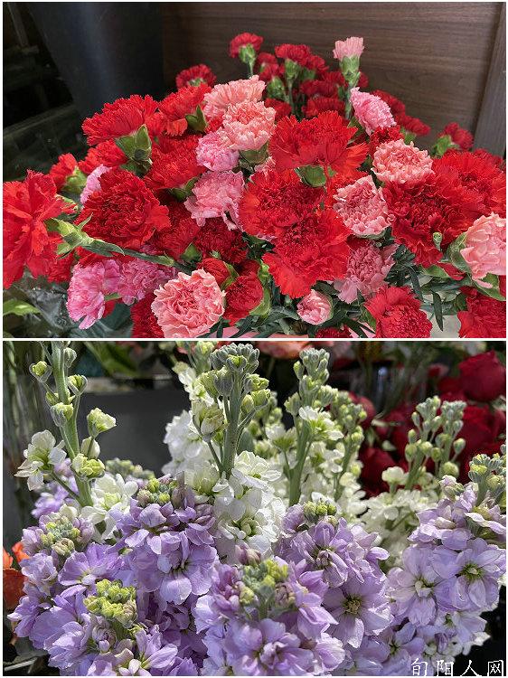 百姓故事:春天带你走进燕子花屋 图/文 肖海娟(图3) 0.jpg