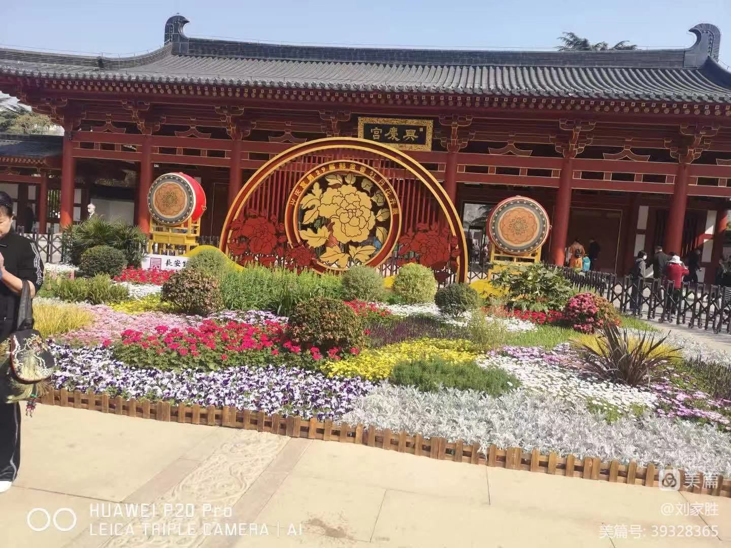 诗意西安兴庆公园                                             