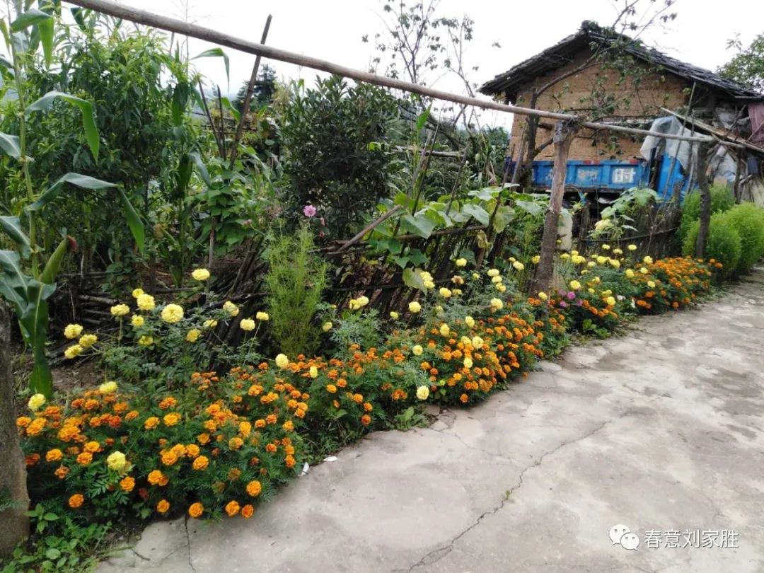 写意羊山(图2) 图片