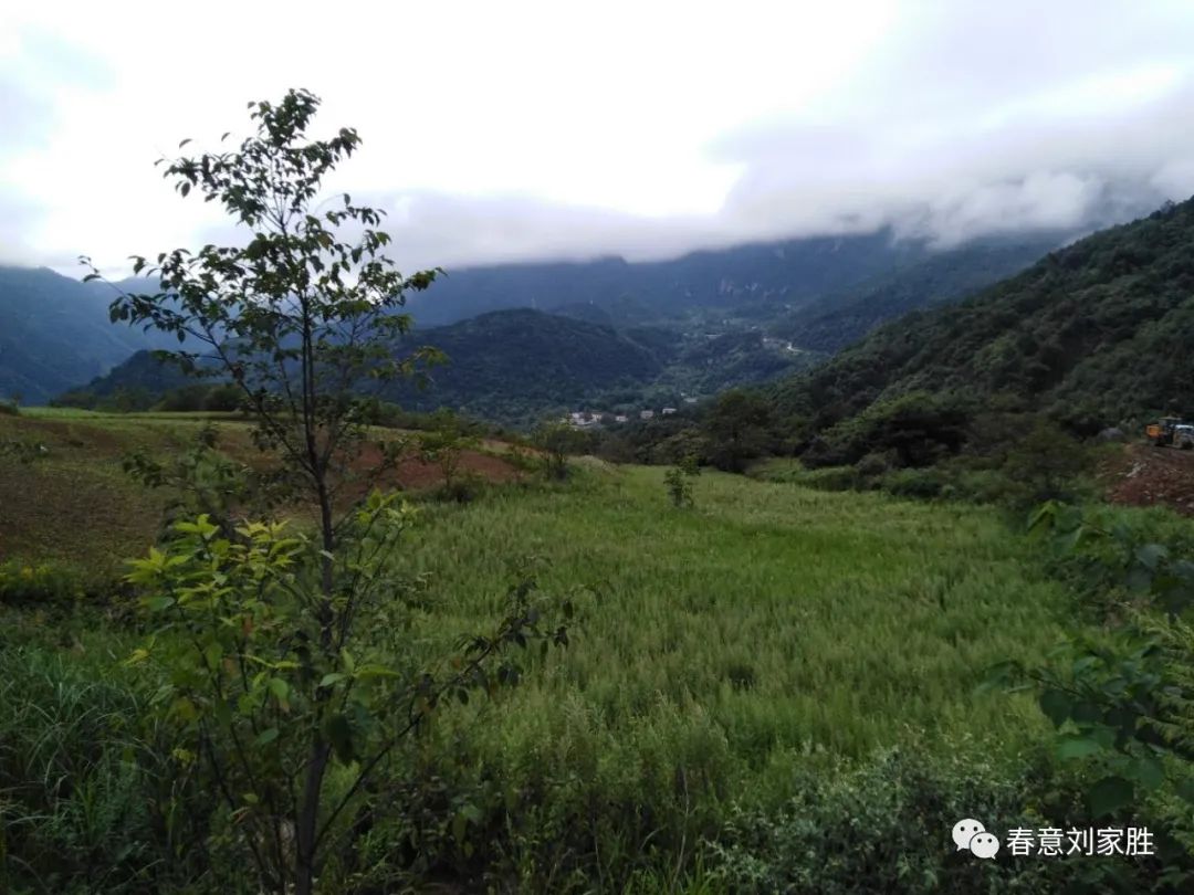 写意羊山(图4) 图片