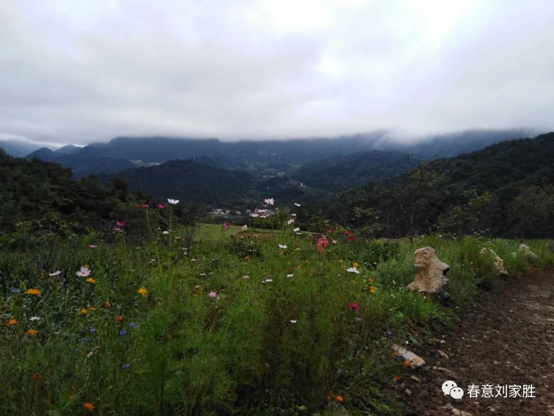 写意羊山(图5) 图片