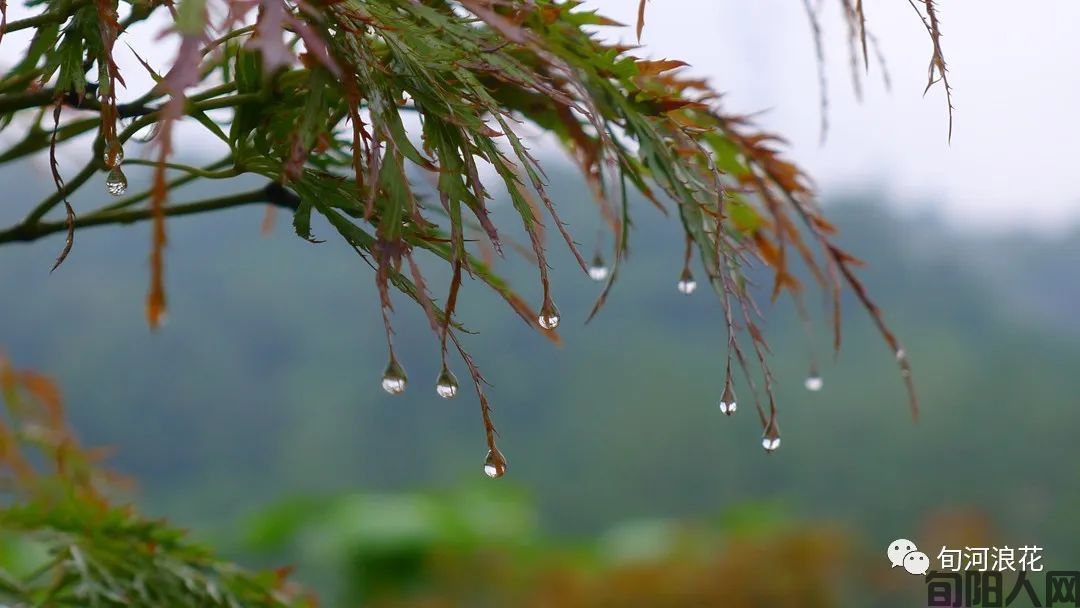 那年秋雨,那个山村 文/赵攀强(图1) 图片