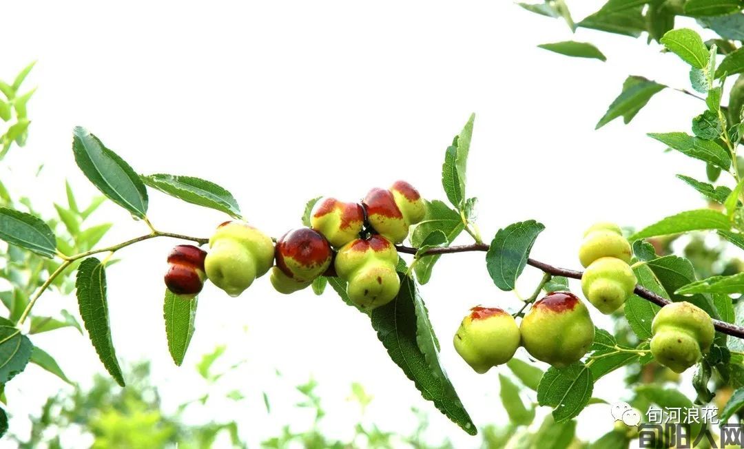 那年秋雨,那个山村 文/赵攀强(图4) 图片