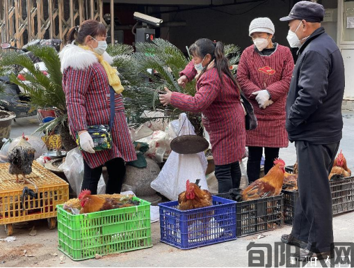 人间烟火气 最浓属年味 文/肖海娟(图6) wps6.png