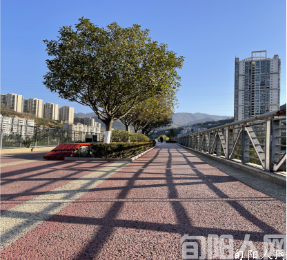 遇见阳光 期待美好 文/肖海娟(图1) wps1.png