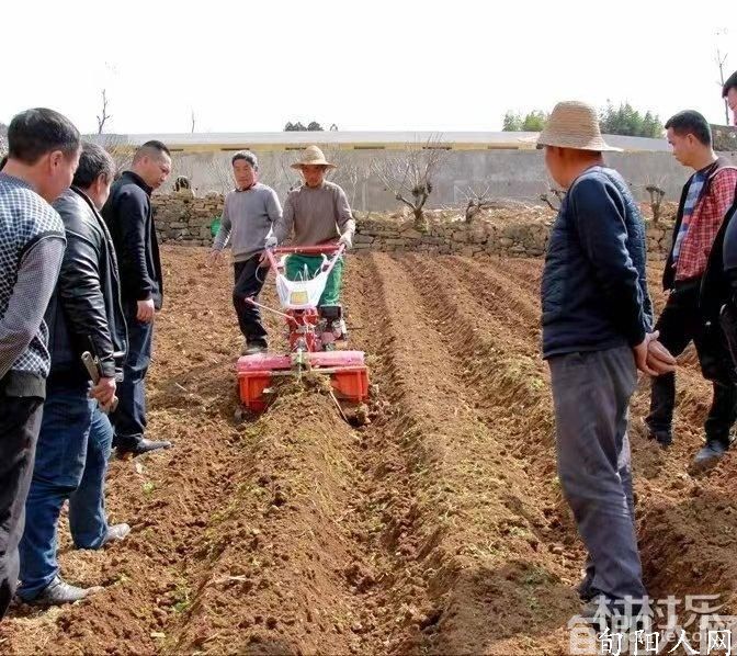 农民的一片土地 文/杨进编(图1) 微信图片_20221215213029.jpg