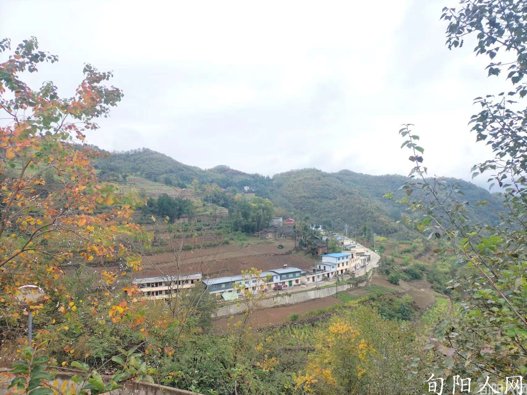 农民的一片土地 文/杨进编(图3) 微信图片_20221215213205.jpg