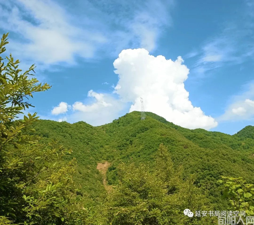 书因山而著 山因书而活 文/程根子(图1) 图片