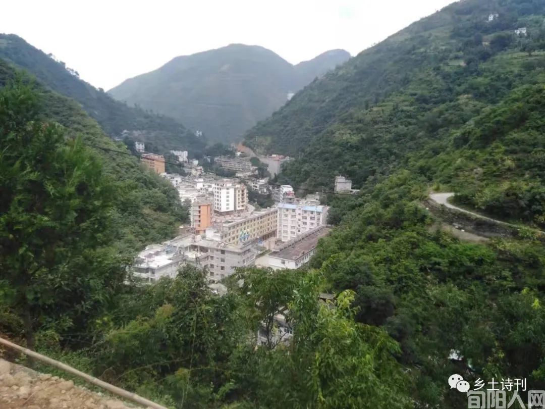 在棕溪俘获花香鸟语(组诗) 文/柯长安(图1) 图片