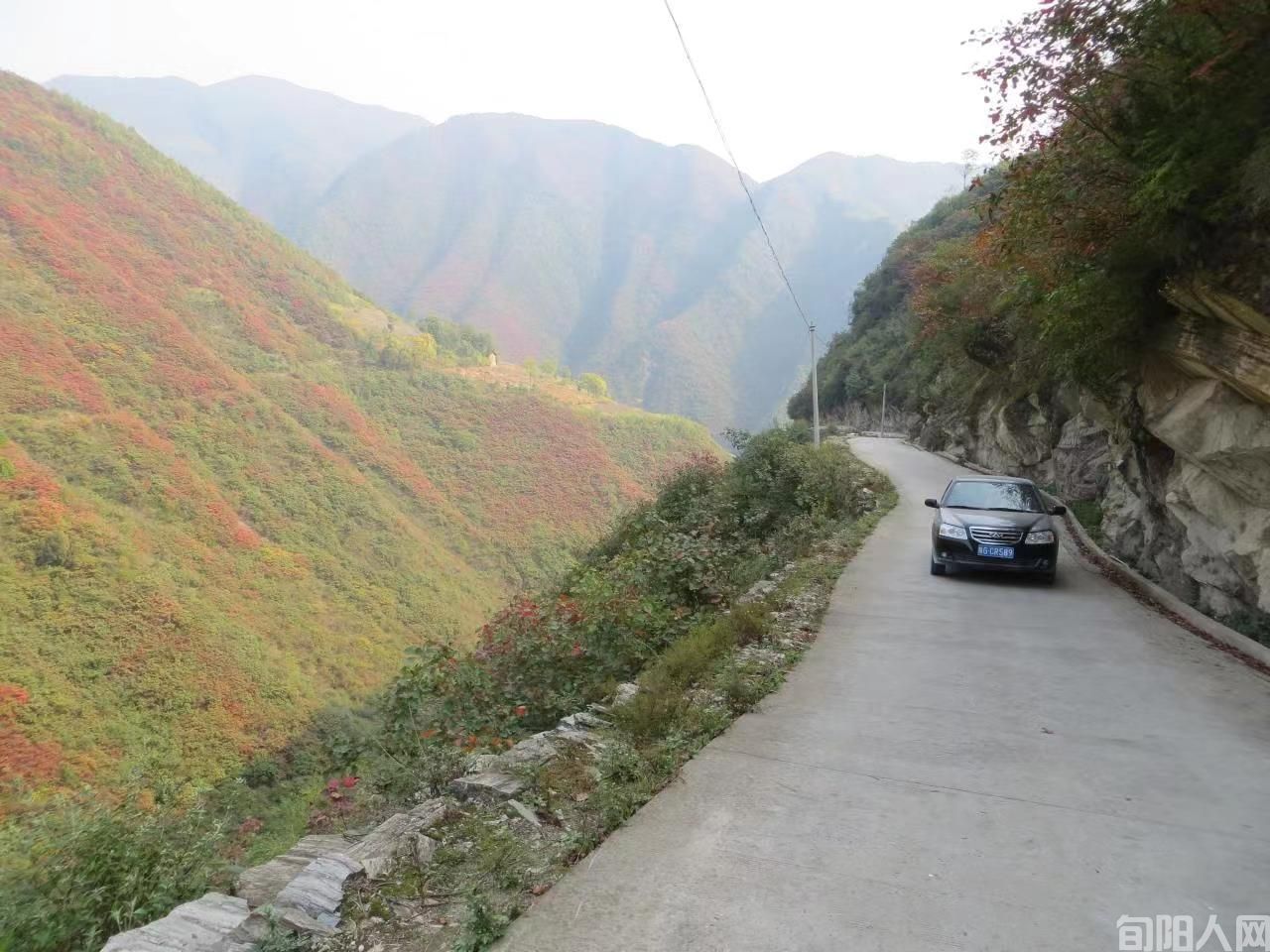 又到桐木乡 文/何世芬(图2) 微信图片_20221209184239.jpg