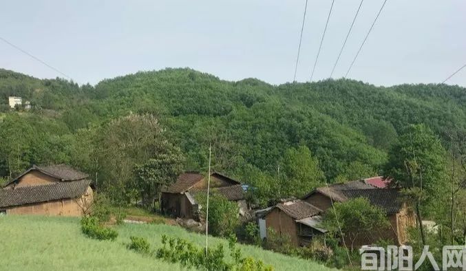 记忆中的老瓦房 文/杨进编(图1) 图片