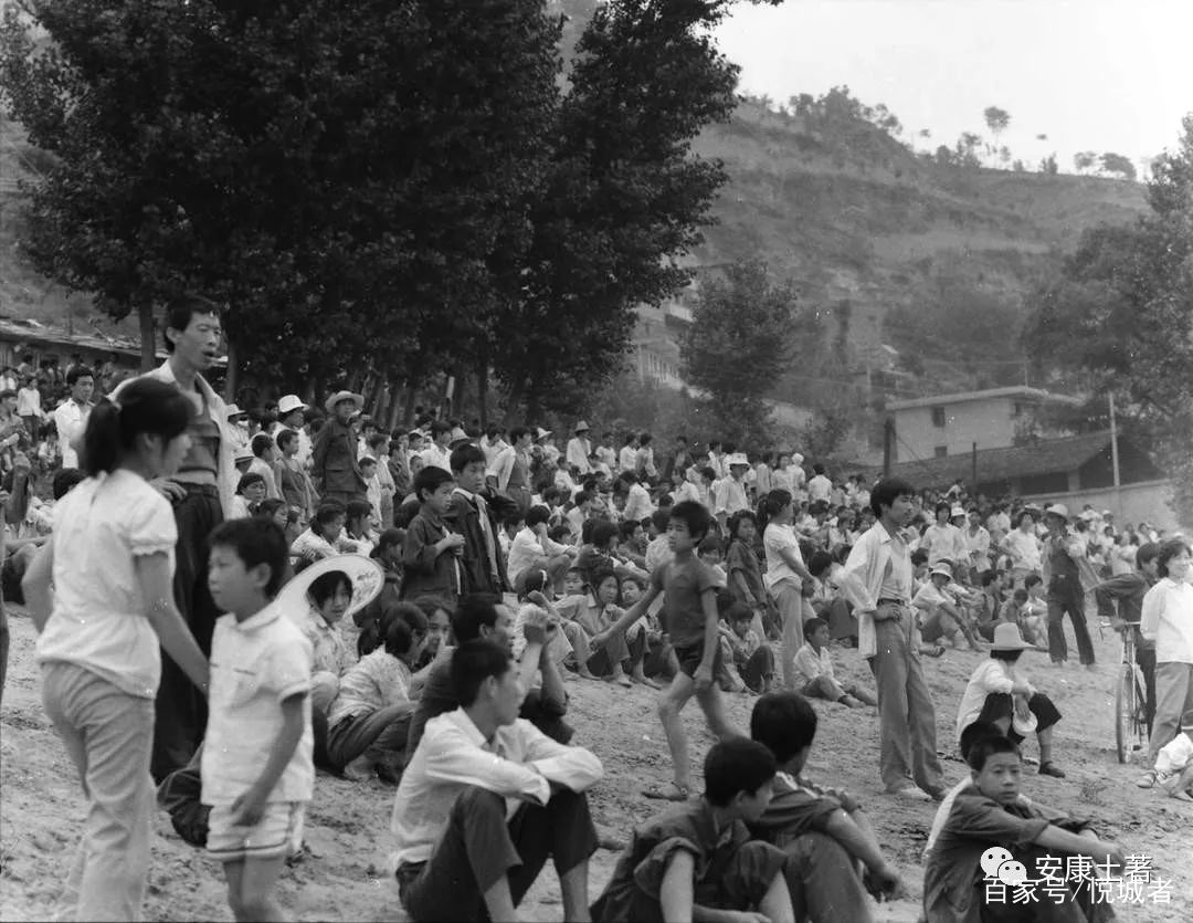 我拍龙舟三十年——吴定国(图10) 我拍龙舟三十年——吴定国(图10)