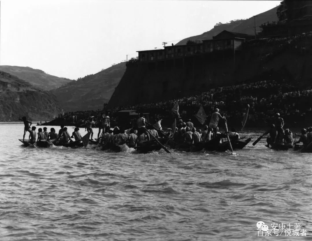 我拍龙舟三十年——吴定国(图12) 我拍龙舟三十年——吴定国(图12)