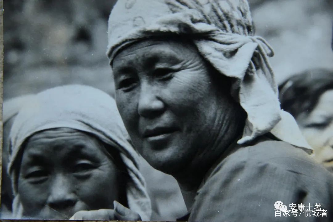 我拍龙舟三十年——吴定国(图19) 我拍龙舟三十年——吴定国(图19)