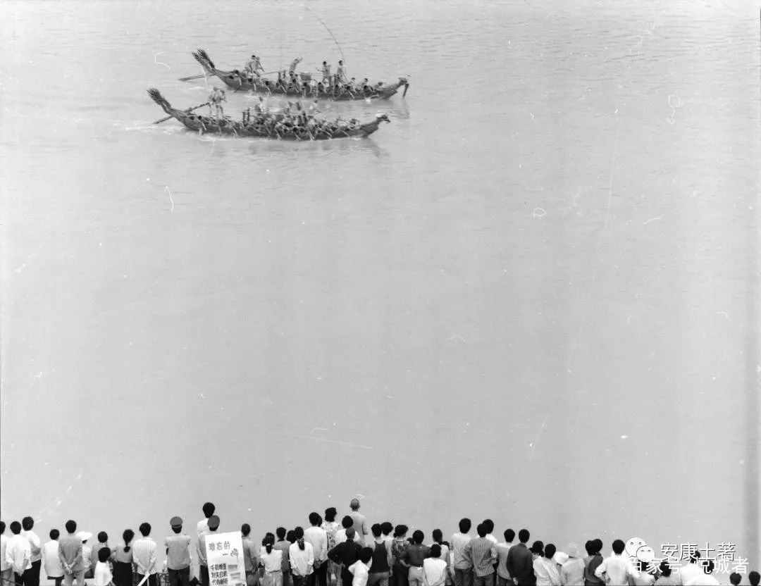 我拍龙舟三十年——吴定国(图25) 我拍龙舟三十年——吴定国(图25)