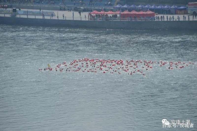 我拍龙舟三十年——吴定国(图38) 我拍龙舟三十年——吴定国(图38)