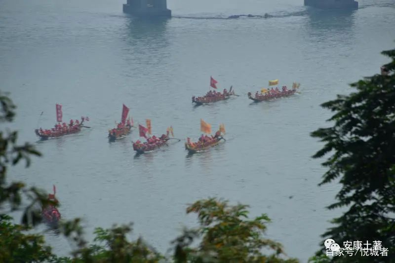 我拍龙舟三十年——吴定国(图39) 我拍龙舟三十年——吴定国(图39)