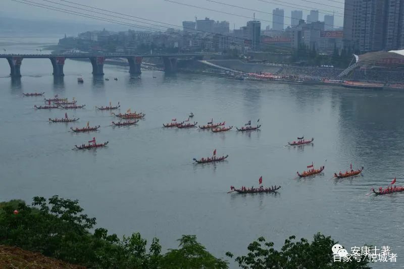 我拍龙舟三十年——吴定国(图40) 我拍龙舟三十年——吴定国(图40)