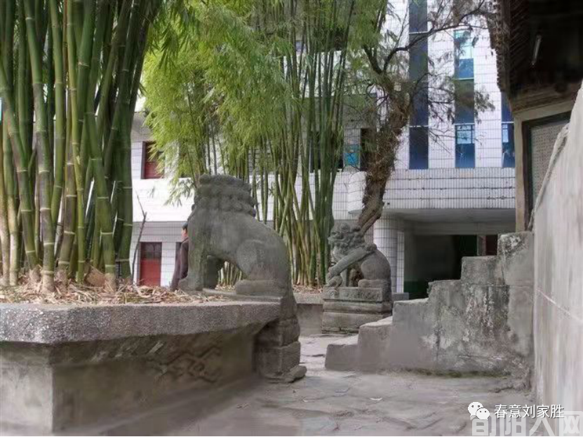 回不去的芳华 文/刘家胜(图2) 2.png