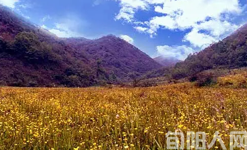 神奇南羊山大草甸 文/陈德智(图1) image.png