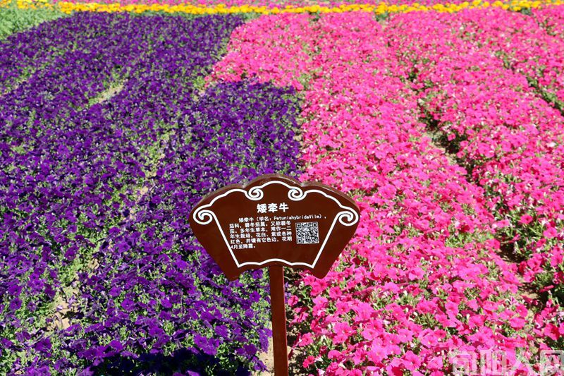 铜川宜君花溪谷摄影 图/文 笨马九方皋(图5) 05.jpg