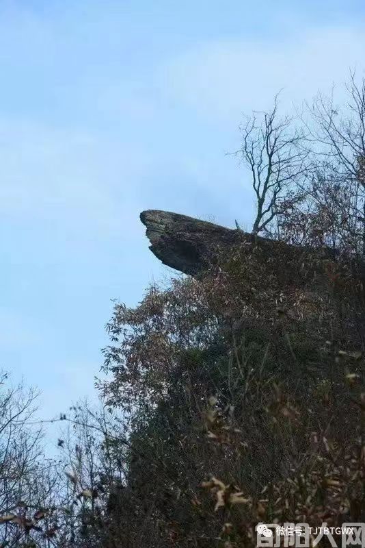 棕溪口的往事 文/刘佳胜(图3) 微信图片_20230809184502.jpg