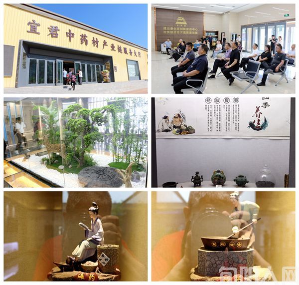 走进铜川宜君县彭祖药谷的中医药康养事业基地 ——绿色发展中国领先的典型代表(图2) 彭祖02.jpg