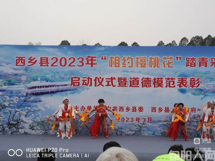 我与樱桃花有个约会 文/刘家胜(图2) 樱桃花开02.jpg