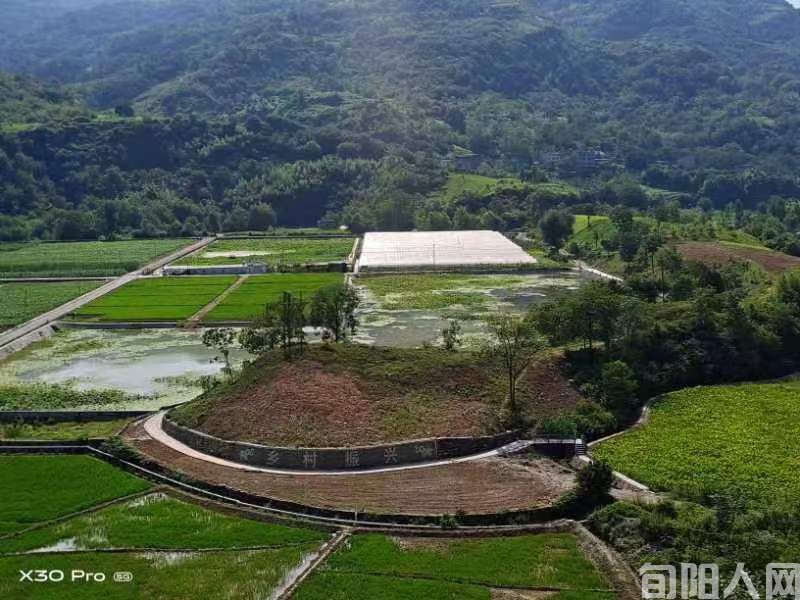 象鼻子的传说 文/何世芬(图1) 象鼻子照片01.jpg