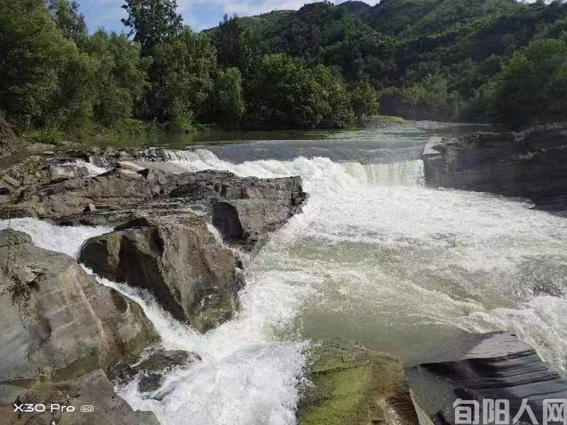 象鼻子的传说 文/何世芬(图2) 象鼻子照片02.jpg