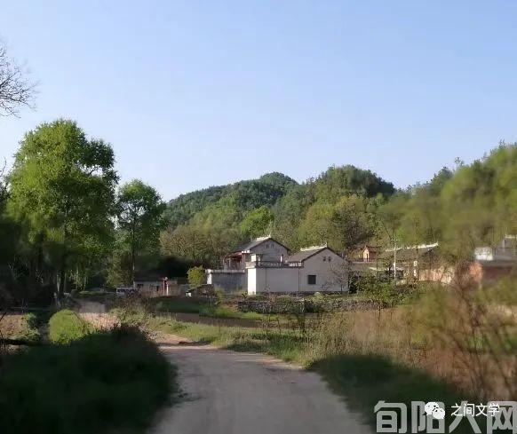 李虎山纪实文学《庙岭本纪》出版(图2) 庙岭本纪01.jpg