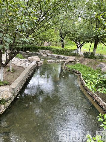 听雨 文/李虎山(图1) 雨中.jpg