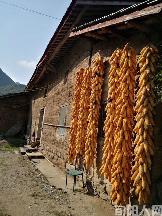 李大勋老师的眼神 文/任登庚(图2) 任02.jpg