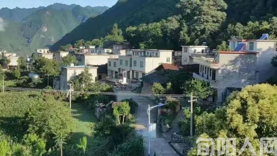 时隔八年,佛洞那场大火,你还记得多少? 文/任玲波(图2) 白柳02.jpg