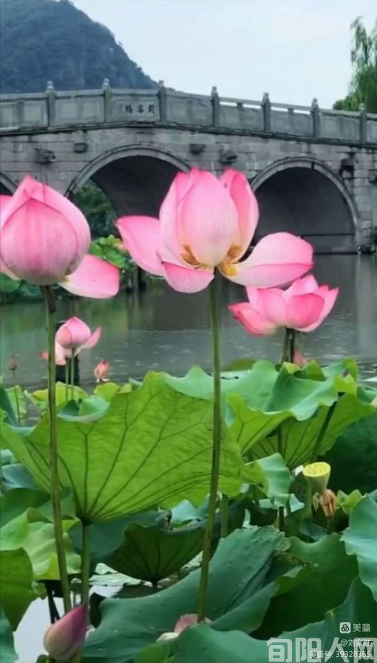 秋色烂漫 文/刘家胜(图2) 刘3.jpg