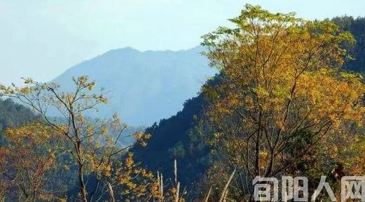 七绝:记忆中的墨香(图1) 早秋.jpg