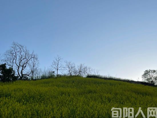 品格 文/徐军(图2) 图.jpg