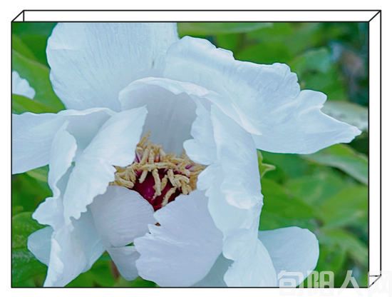 【七绝三首】(外一首) 《教师节之咏》(习作) 文/老骥伏枥(图1) 插图1.jpg