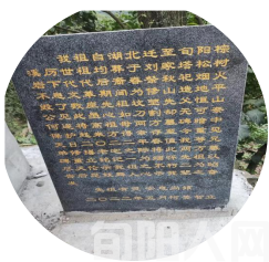 棕溪有美景 旅游到矾石 文图/鲁延河(图17) image.png