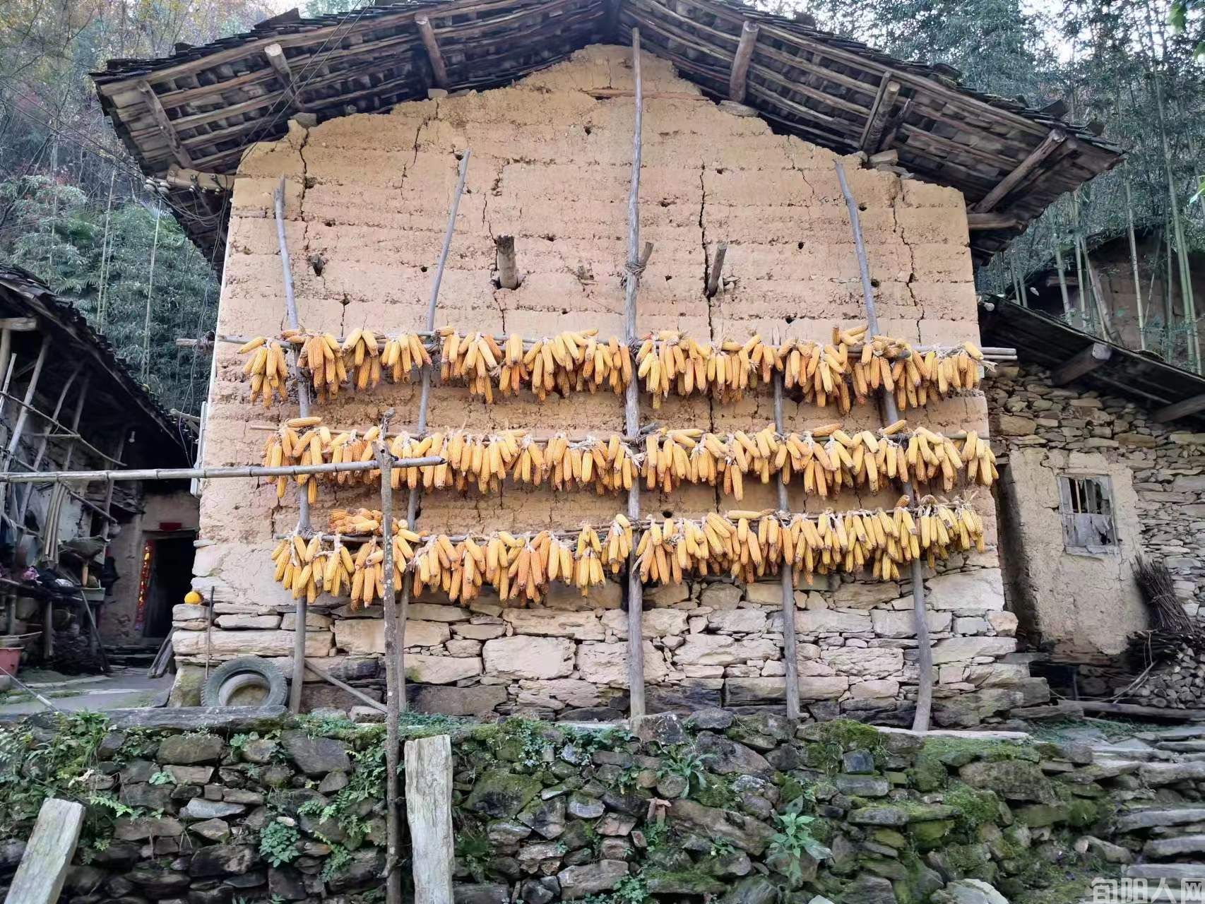 一把辛酸泪 ——读夏崇庆长篇小说《不平静的乡村》有感 文/任登庚(图1) xiangcun.jpg