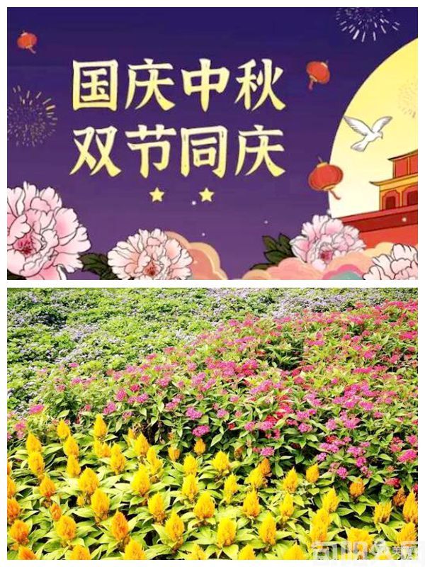 喜迎国庆和中秋赏月(六首组诗) 文/笨马九方皋(图1) 中秋.jpg