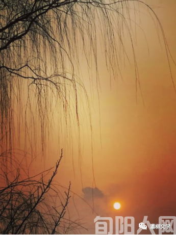 秋天组诗----秋愿 秋福 秋实(图2) 秋02.png