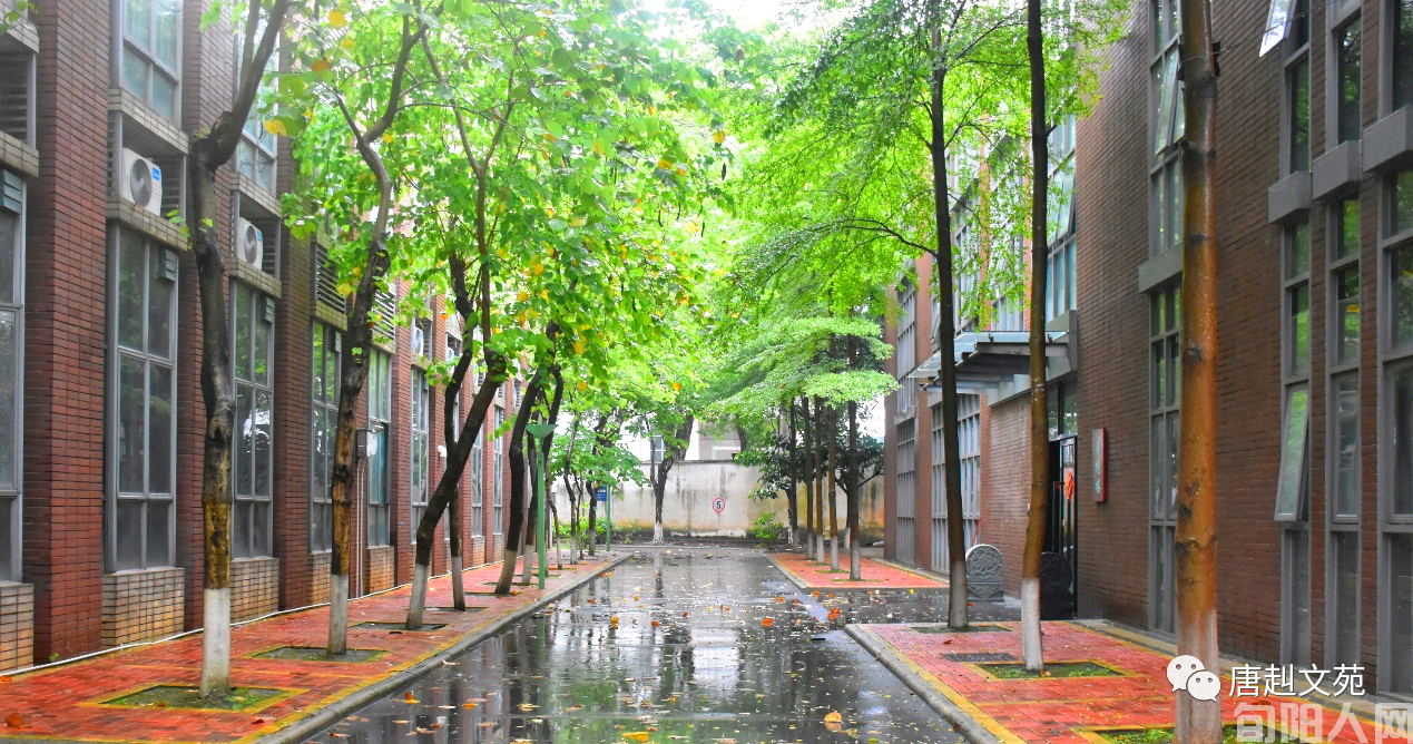 雨天好读书 文/唐赳 (图1) 001.png