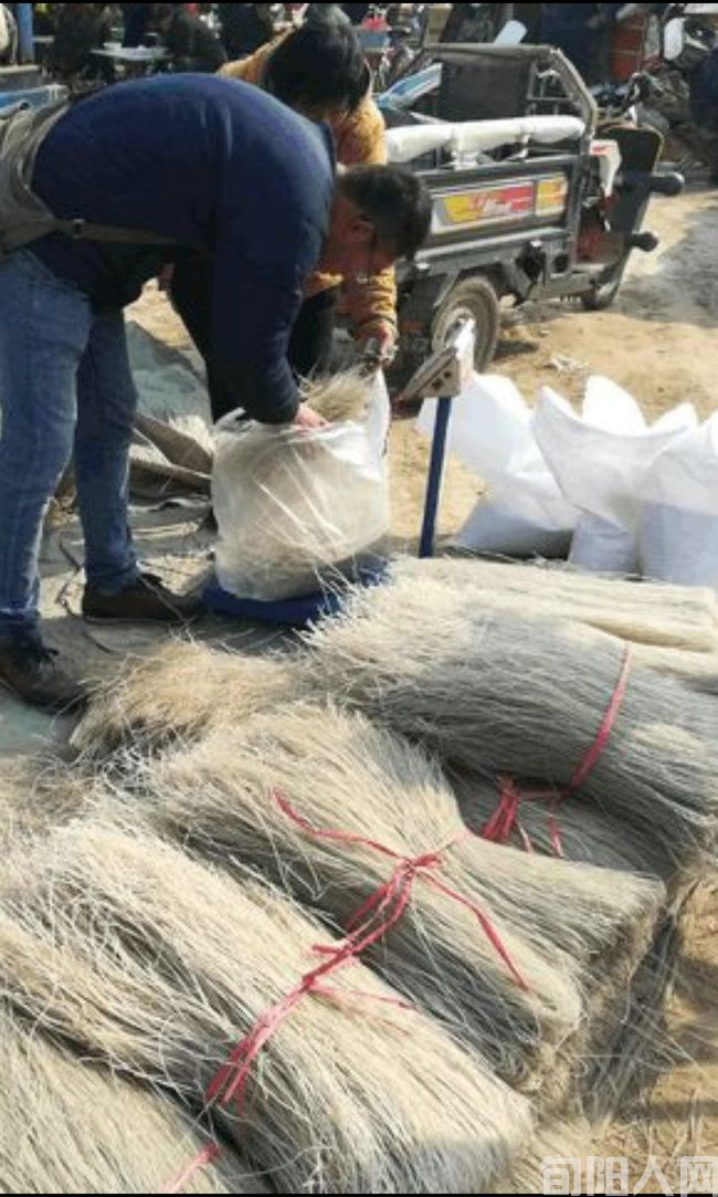 万寿山上好人多 文/向维录(图2) 万寿山02.jpg